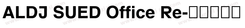 ALDI SUED Office Re字体转换